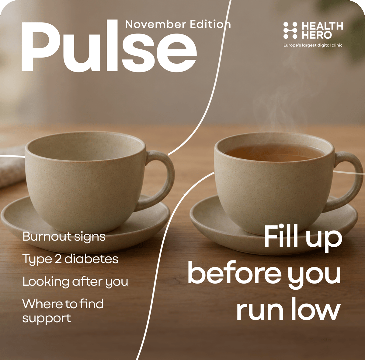 Pulse_Newsletter_November_2026